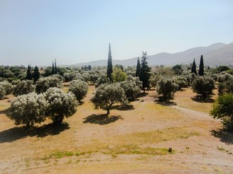 Battaglia di Maratona - 490 a.C.